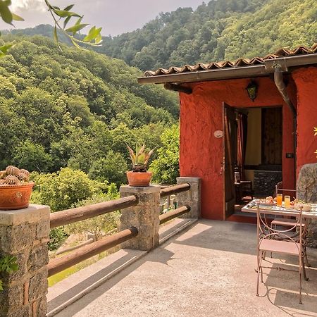 Agriturismo Pera Di Basso Casamicciola Terme Exteriér fotografie