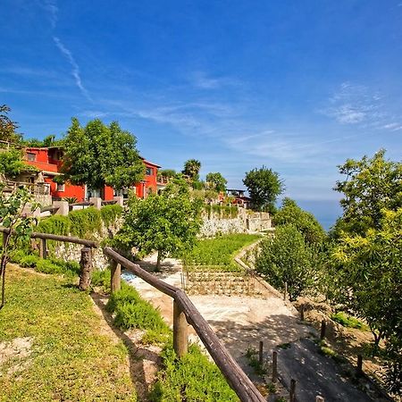 Agriturismo Pera Di Basso Casamicciola Terme Exteriér fotografie