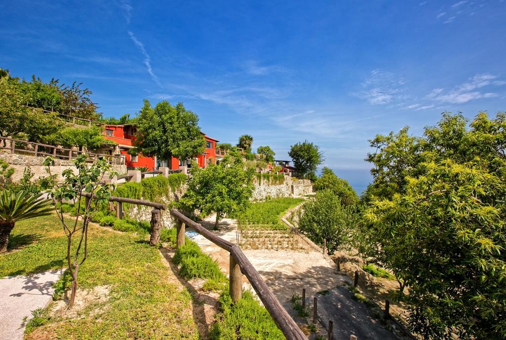 Agriturismo Pera Di Basso Ischia Exteriér fotografie