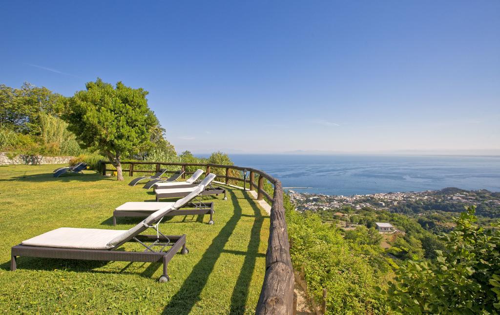 Agriturismo Pera Di Basso Ischia Exteriér fotografie