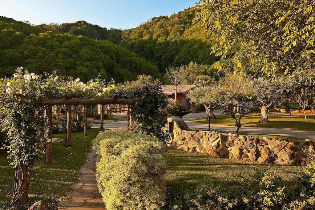 Agriturismo Pera Di Basso Ischia Exteriér fotografie